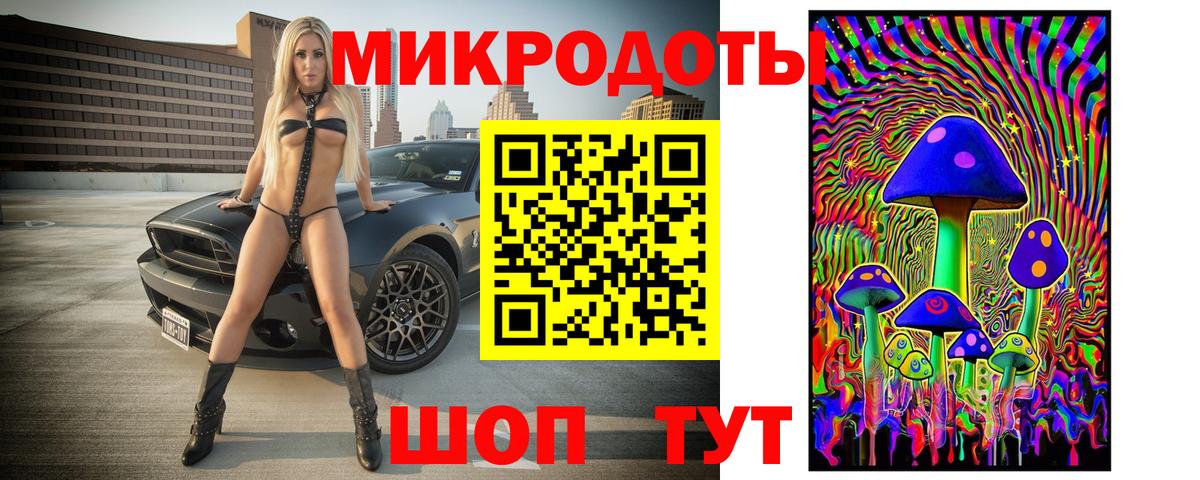 Псилоцибиновые грибы Psilocybine cubensis Сокол