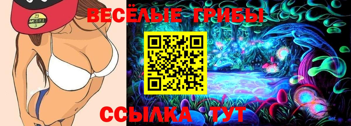 наркошоп  Вход с VPN  Сокол  Галлюциногенные грибы прущие грибы 